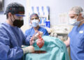 Transplantasi Jantung Babi ke Manusia Kembali Sukses
