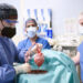 Transplantasi Jantung Babi ke Manusia Kembali Sukses