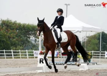 Kontingen Jabar Berhasil Meraih Medali Dressage dalam Ajang Kejurnas Pordasi Equestrian