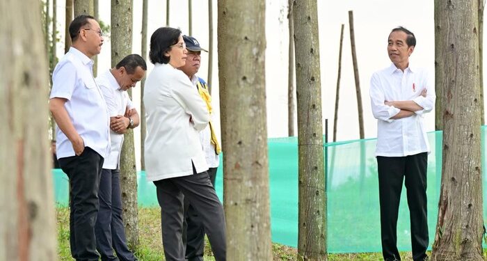 Sri Mulyani Dampingi Jokowi di IKN