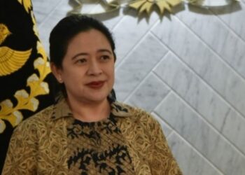 Puan Dorong Indonesia Perbanyak Buka Investasi Proyek Energi Terbaru