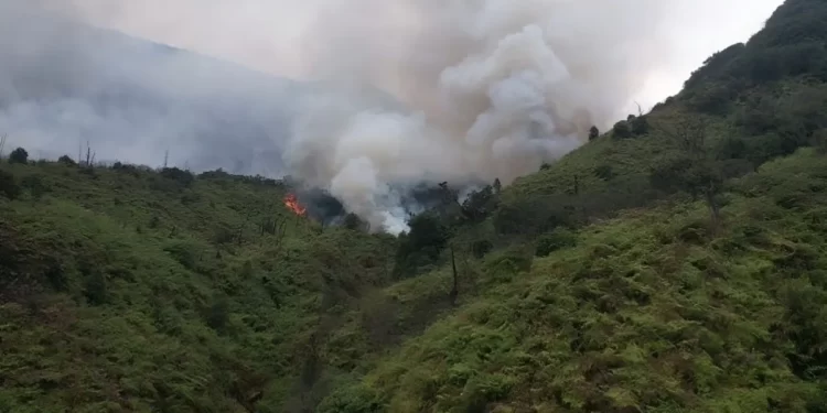 KLHK ungkap Kebakaran di Gunung Papandayan Garut telah Dilokalisir
