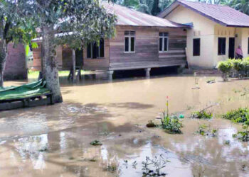 Banjir Parah Akibat Hujan Tinggi di Aceh Utara, 20 Desa Terendam