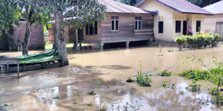 Banjir Parah Akibat Hujan Tinggi di Aceh Utara, 20 Desa Terendam
