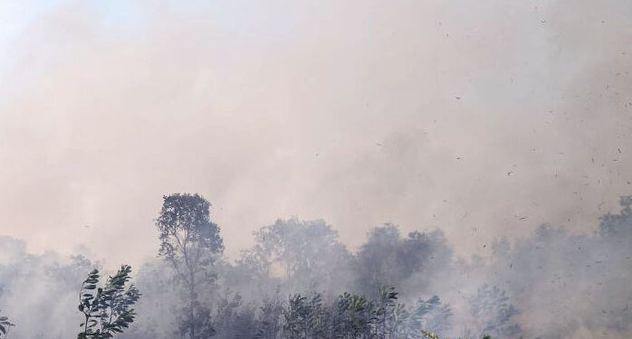 Kontroversi Asap Karhutla dan Dampaknya ke Negara Tetangga