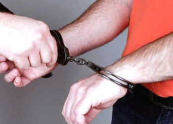 Pengguna TikTok Ditangkap atas Dugaan Pencemaran Nama Baik Caleg DPD RI