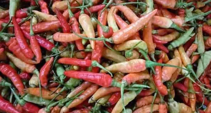 Kenaikan Harga Cabai di Tengah Penurunan Harga Pangan Lainnya