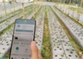 Pertanian Pintar jadi Solusi Atasi Krisis Petani