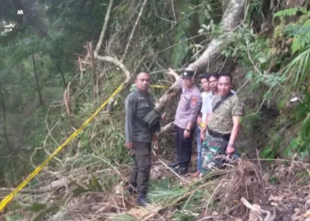 Penyebab 4 Pemburu Tewas di Hutan Garut karena Tertimpa Pohon