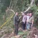 Penyebab 4 Pemburu Tewas di Hutan Garut karena Tertimpa Pohon