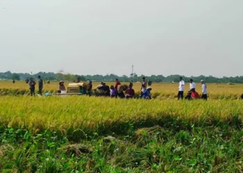 Jokowi Apresiasi Produktivitas Petani di Indramayu