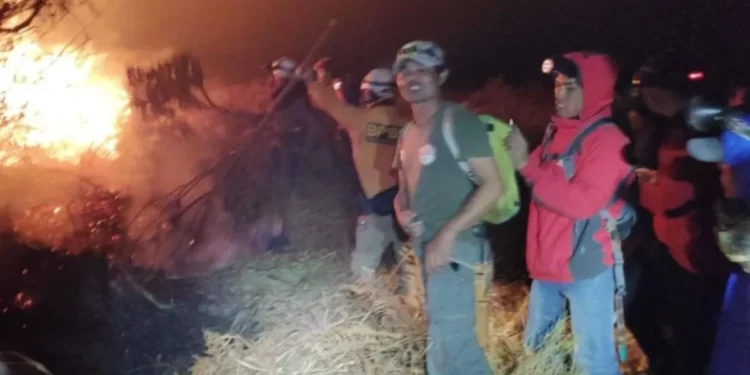 Penyebab Kebakaran Hutan di Gunung Papandayan Garut Masih Penyelidikan Polisi