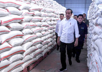 Jokowi Mendorong Pemimpin Daerah Atasi Krisis Beras