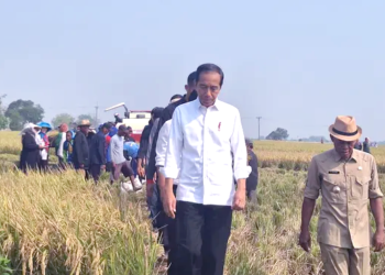 Jokowi Dorong Peningkatan Produksi Beras oleh Mentan