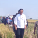 Jokowi Dorong Peningkatan Produksi Beras oleh Mentan