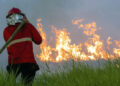 Titik Panas Karhutla Meningkat Tajam di Kalteng dan Kalbar