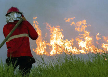 Titik Panas Karhutla Meningkat Tajam di Kalteng dan Kalbar