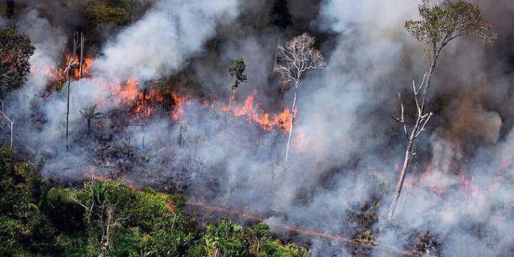 Bagaimana Indonesia Melawan Karhutla dengan Upaya Pencegahan yang Efektif