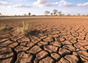 Kemarau Ekstrem di Indonesia Berlanjut Hingga Oktober Akibat El Nino dan IOD