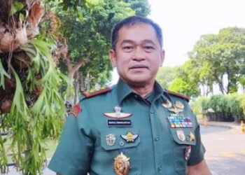 Letjen Maruli Laporkan Kesehatan Luhut di Istana