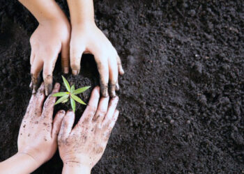 Pemerintah Dituntut Bertindak Cepat Atasi Kerusakan Lingkungan