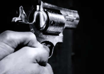 Penembakan di Bangkal Seruyan, Kronologi Versi Walhi