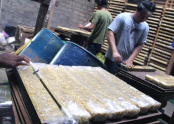 Perajin Tempe Tahu Tekan Menteri Pertanian Atasi Sengkarut Kedelai