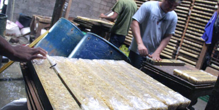 Perajin Tempe Tahu Tekan Menteri Pertanian Atasi Sengkarut Kedelai