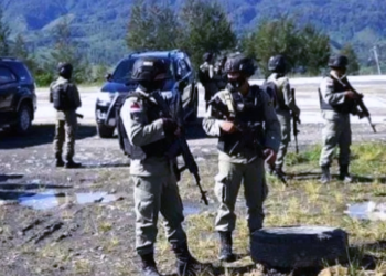 Satgas Cartenz Gempur KKB Kubu Ananias, Komandannya Tewas