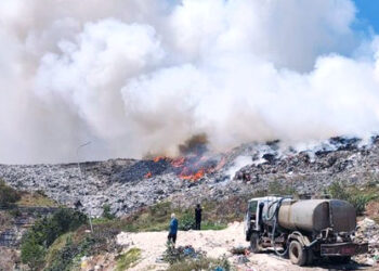 Kebakaran TPA Suwung Bali, 3 Hektare Lahan Hangus Terdampak