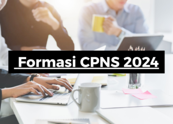 Berikut Adalah Formasi CPNS 2024, Cara Pendaftaran dan Persyaratan