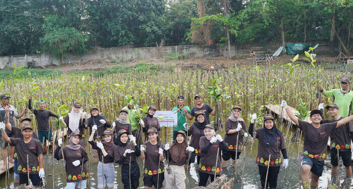 PT Pigeon Indonesia Tanam 1.000 Pohon Mangrove di Pantai Indah Kapuk Jakarta