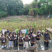 PT Pigeon Indonesia Tanam 1.000 Pohon Mangrove di Pantai Indah Kapuk Jakarta
