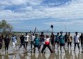 PTI dan PPGT, Penanaman Mangrove di Pantai Labombo Palopo untuk Pelestarian Lingkungan