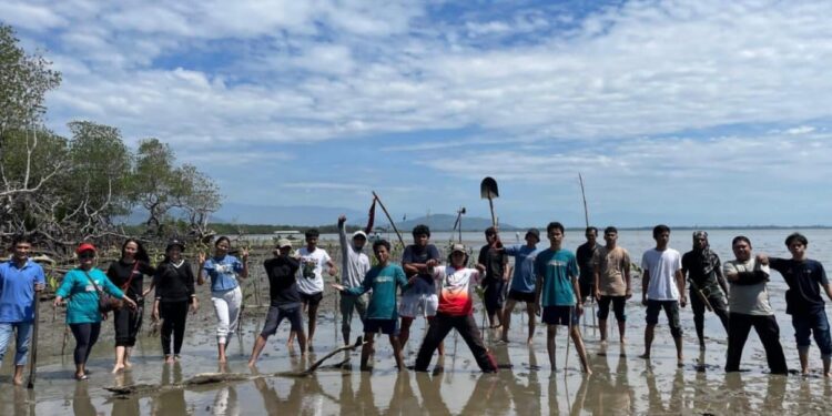PTI dan PPGT, Penanaman Mangrove di Pantai Labombo Palopo untuk Pelestarian Lingkungan
