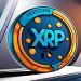 Top Meme Coin di Ekosistem XRP Ledger yang Layak Masuk Watchlist