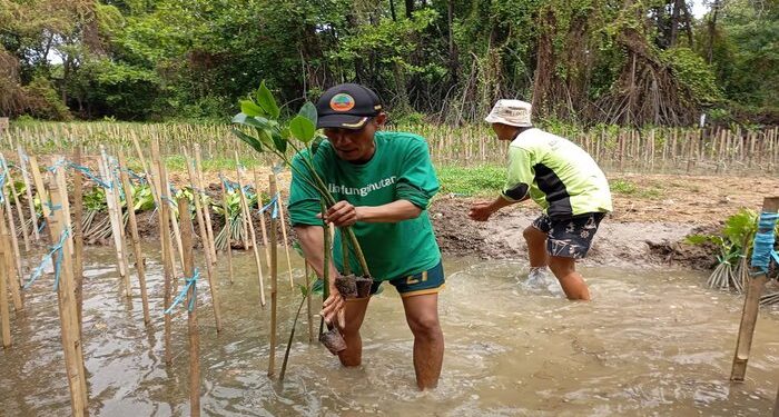 Dampak Nyata LindungiHutan Tanam 978.000 Pohon di Indonesia