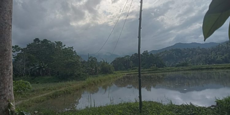 Sudah 10 Tahun Tiang Listrik di Dusun Pompaniki Pakai Bambu
