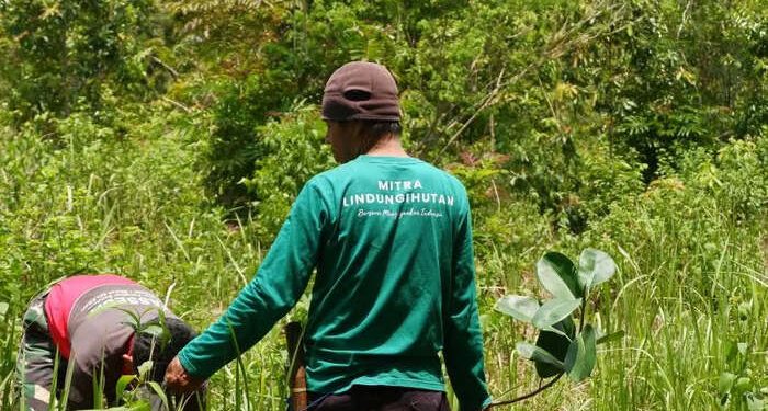 LindungiHutan Dorong Perusahaan Perluas Dampak CSR hingga Tingkat Ekosistem