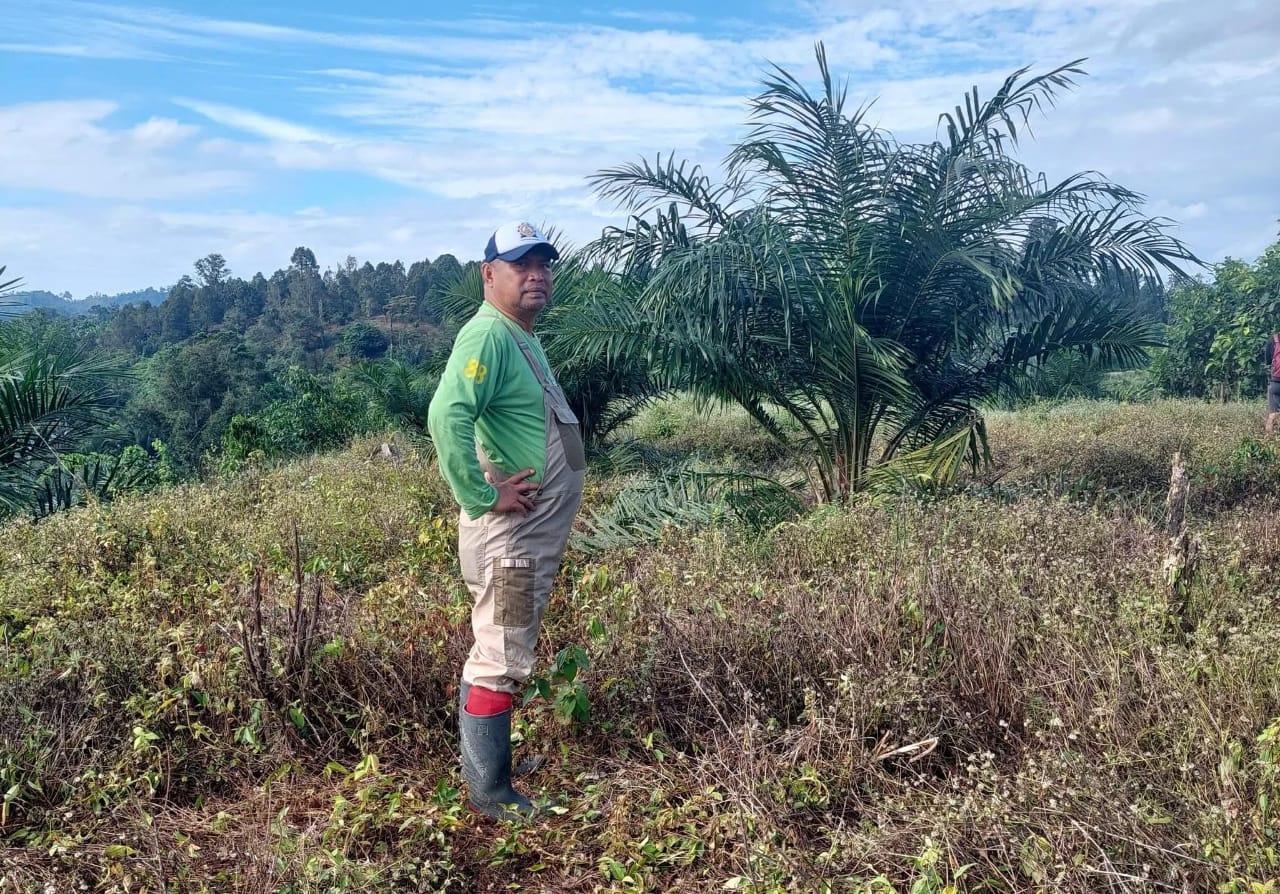 Kepala Dinas Dukcapil jadi Petani Sawit, Sebut Petani itu Garda Terdepan Ketahanan Pangan