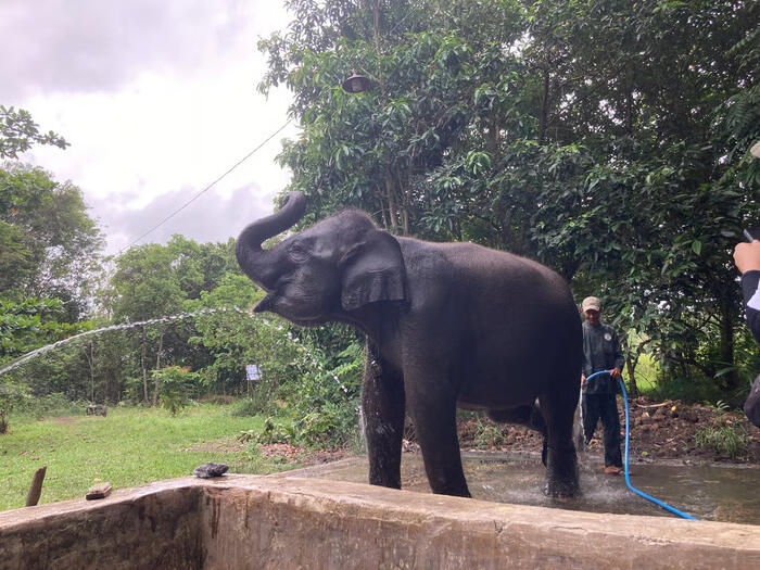 Jasa Marga Hadirkan Infrastruktur Jalan Tol di Indonesia, Dorong Efisiensi Distribusi Logistik